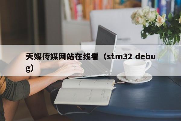 天媒传媒网站在线看（stm32 debug）
