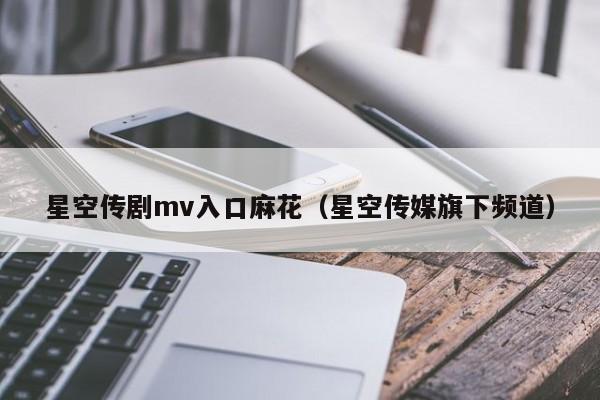 星空传剧mv入口麻花（星空传媒旗下频道）