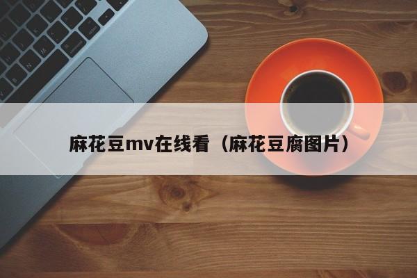 麻花豆mv在线看（麻花豆腐图片）