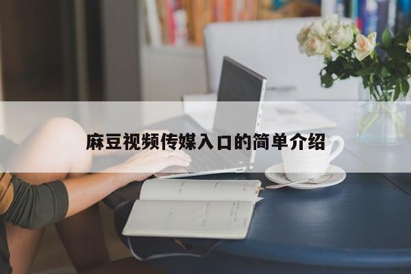 麻豆视频传媒入口的简单介绍