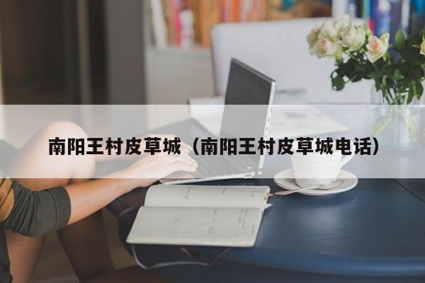 南阳王村皮草城（南阳王村皮草城电话）