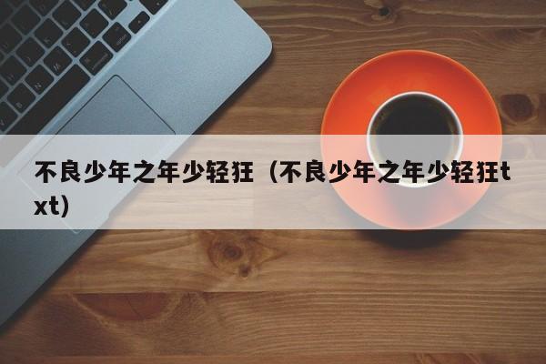 不良少年之年少轻狂（不良少年之年少轻狂txt）