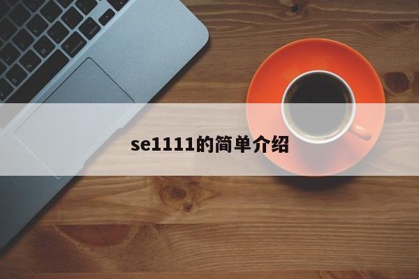 se1111的简单介绍